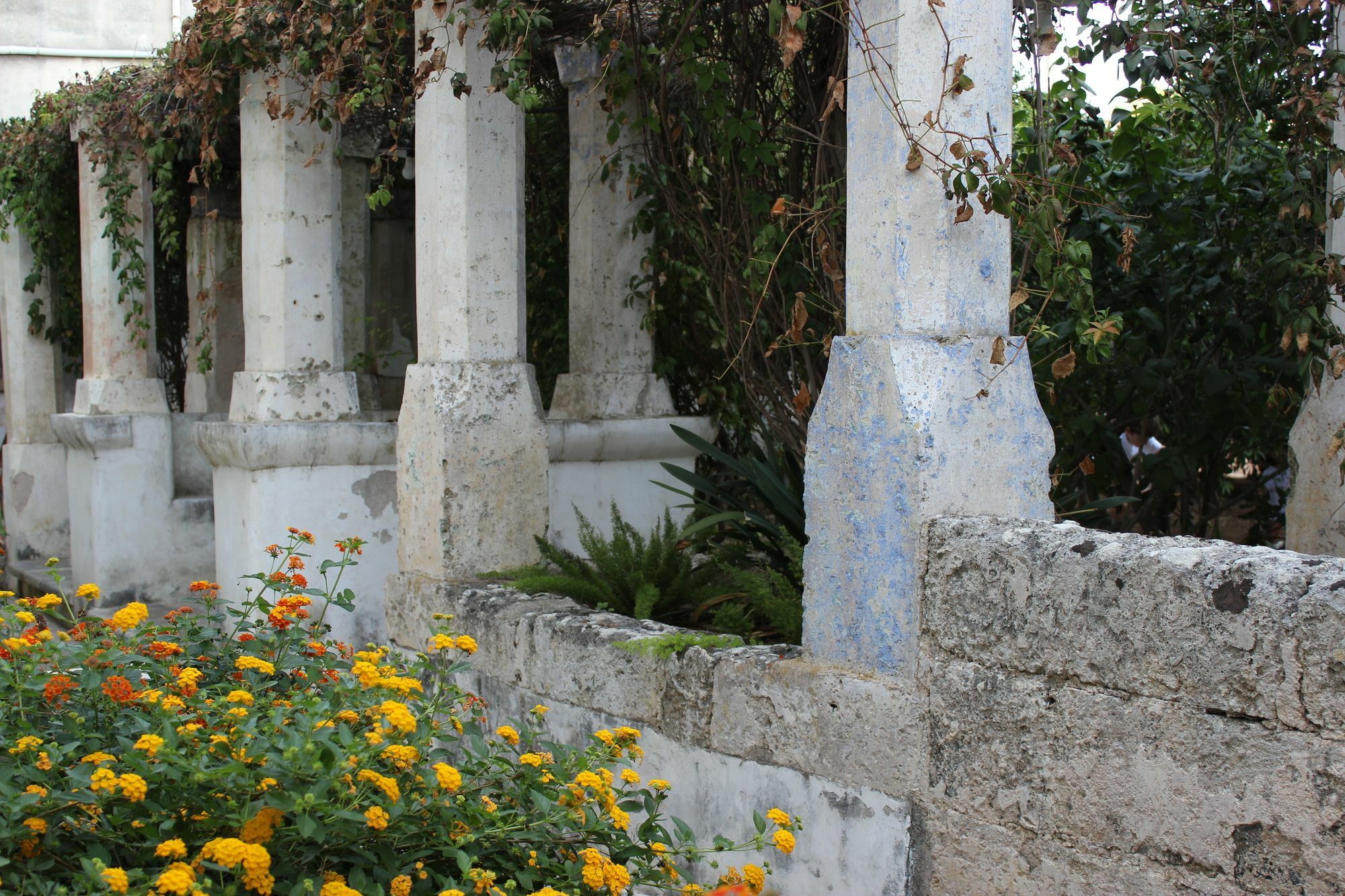 Masseria Pagani Nardò Extérieur photo