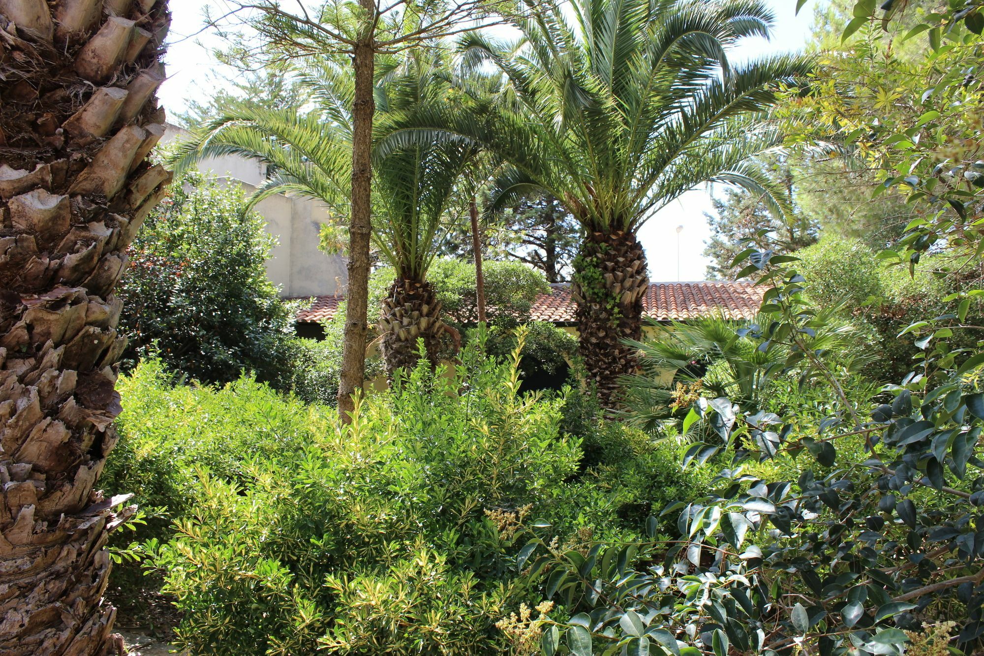 Masseria Pagani Nardò Extérieur photo